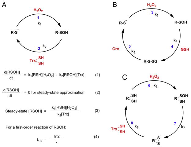 Fig. 21