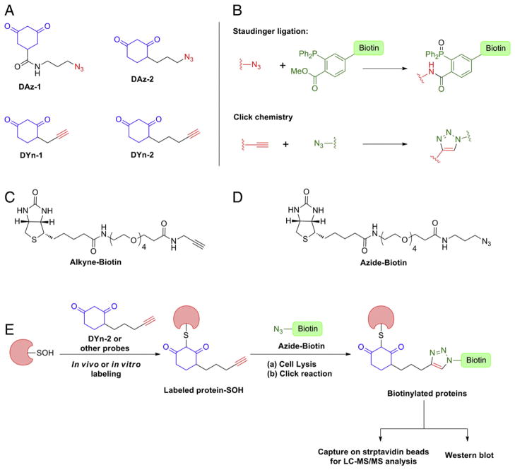 Fig. 13