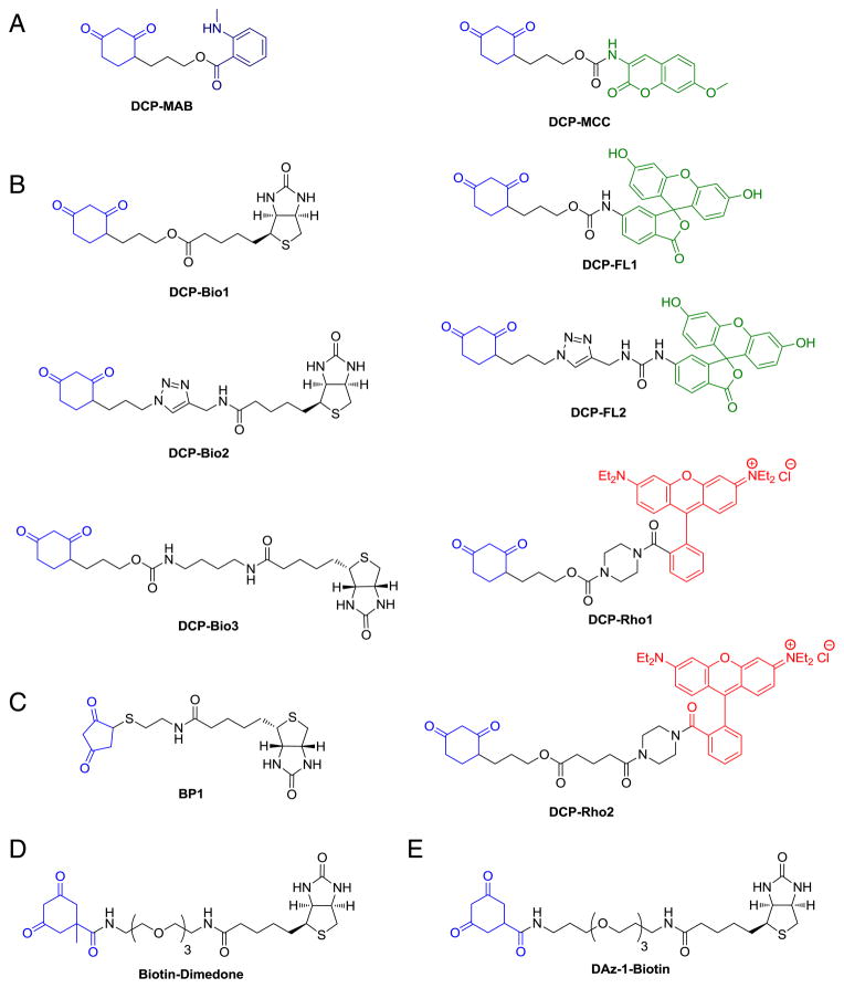 Fig. 12