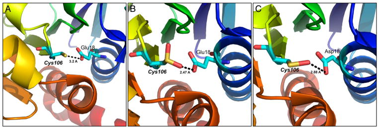 Fig. 18