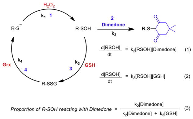 Fig. 20