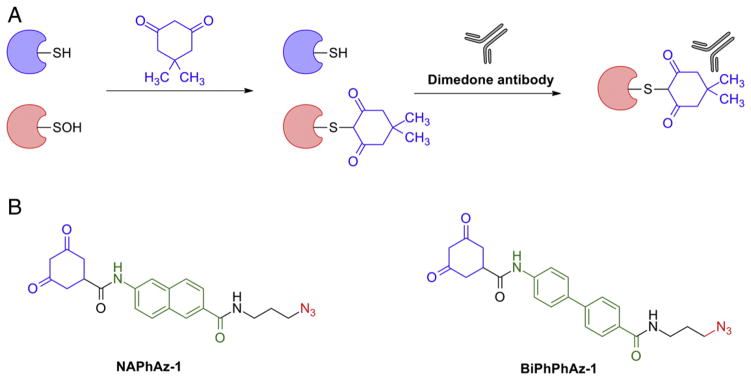 Fig. 16