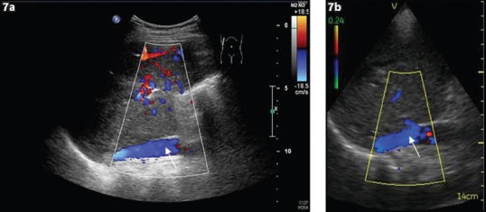 Fig. 7