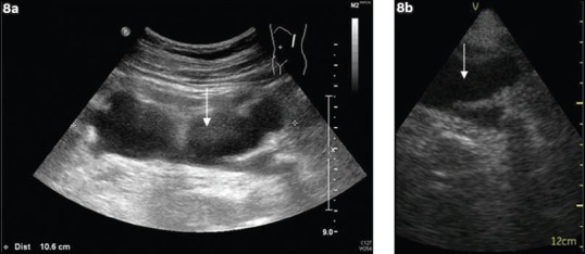 Fig. 8