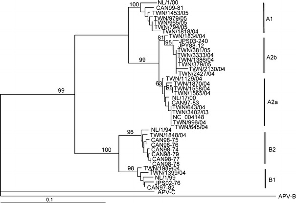 Fig. 1