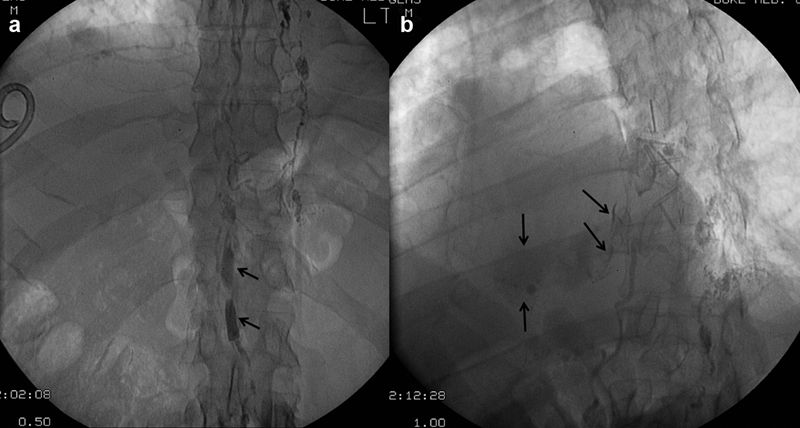 Fig. 9