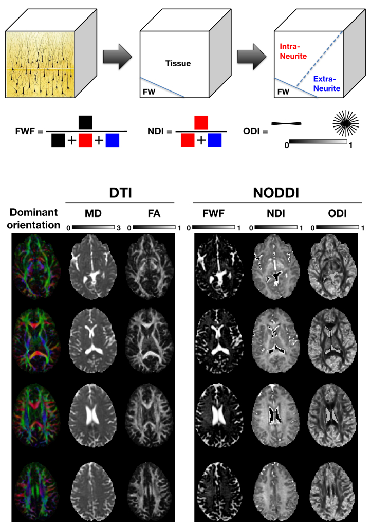 Figure 4