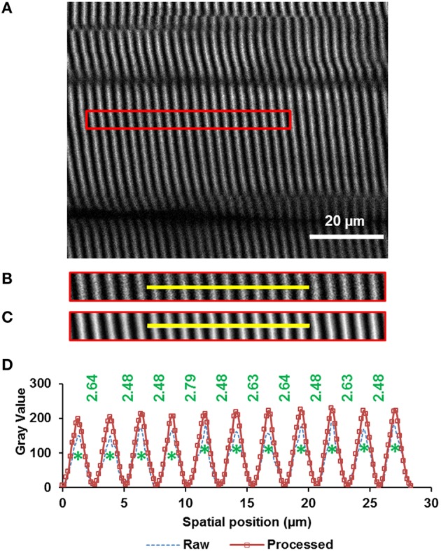 Figure 2