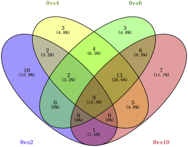 Figure 4