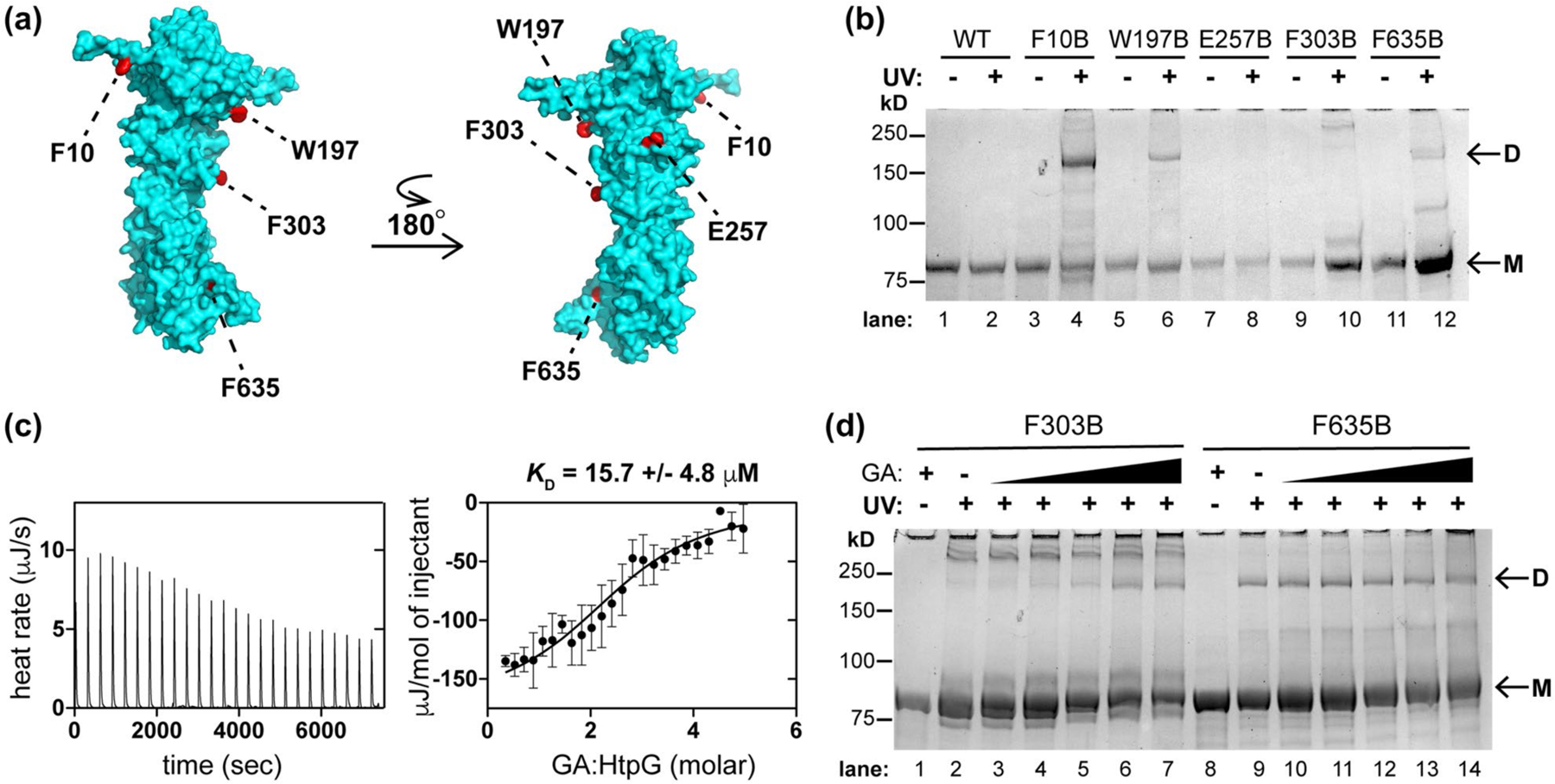 FIGURE 5