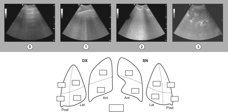 Figure 1: