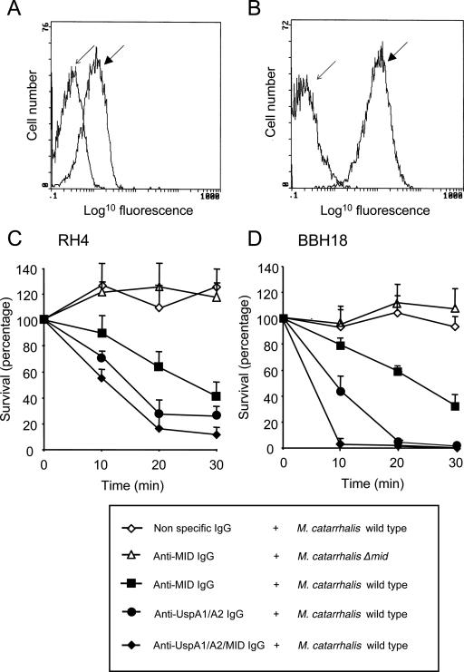 FIG. 6.