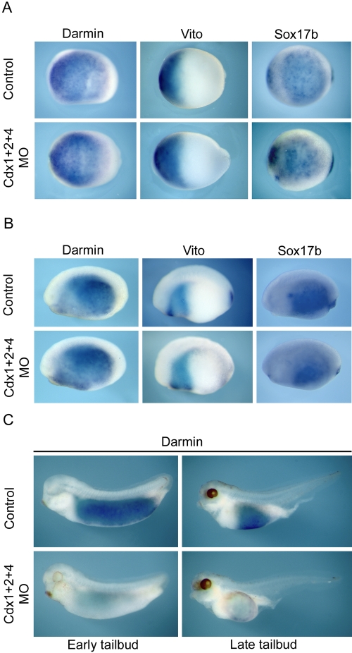 Fig. 9