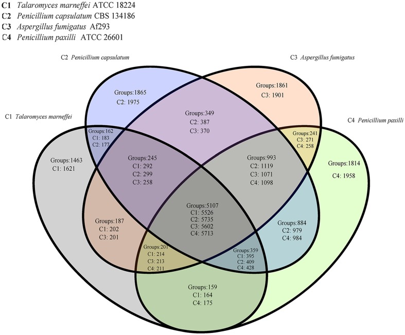 FIGURE 3