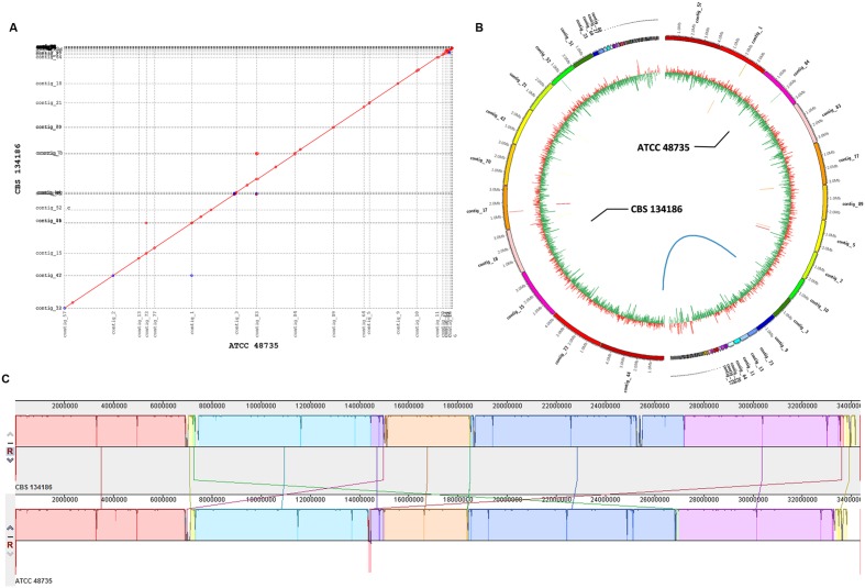 FIGURE 4