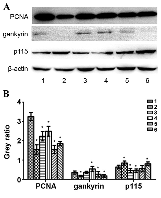 Figure 6.