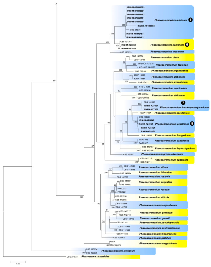 Figure 2