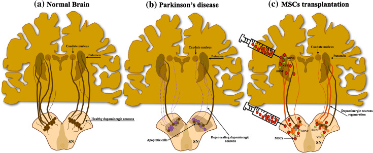 Fig. 1