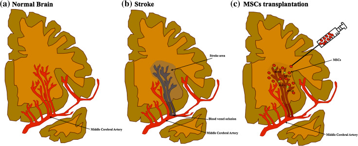 Fig. 3