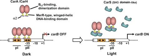 Figure 7.