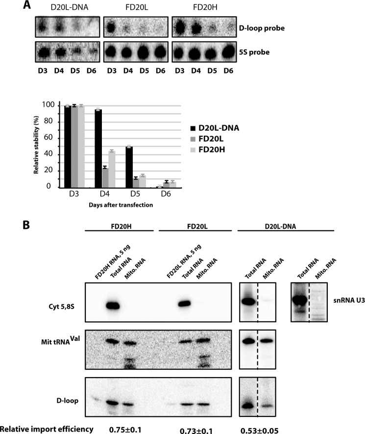 FIGURE 4.