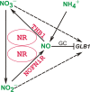 Fig. 7