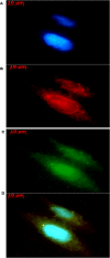 Figure 10
