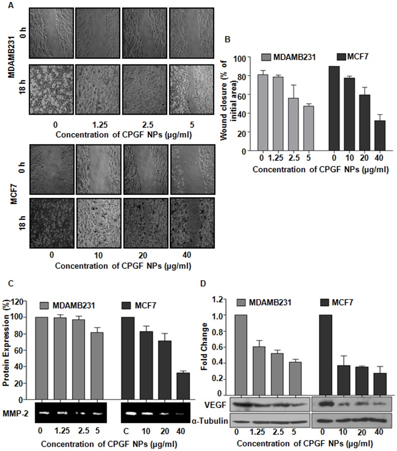 Figure 7