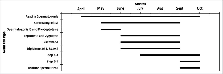 Figure 7.