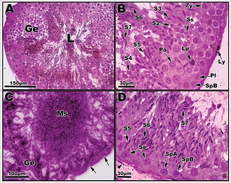 Figure 4.