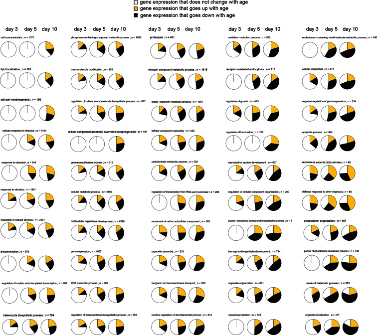 Figure 1—figure supplement 1.