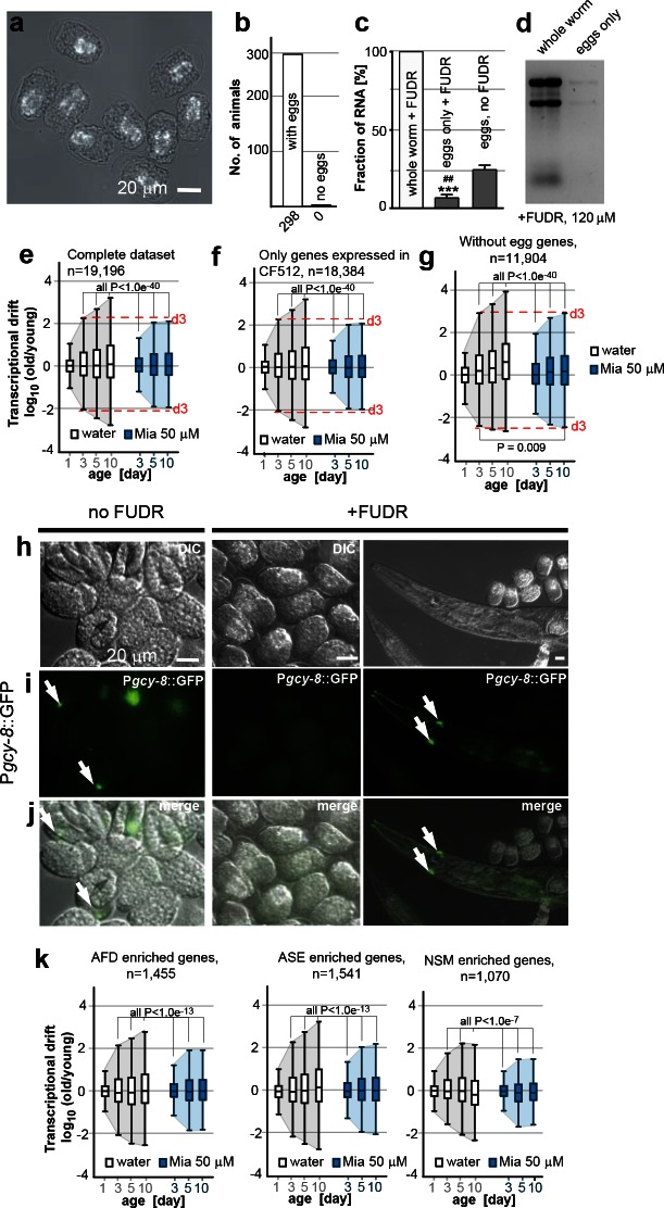 Figure 2—figure supplement 2.