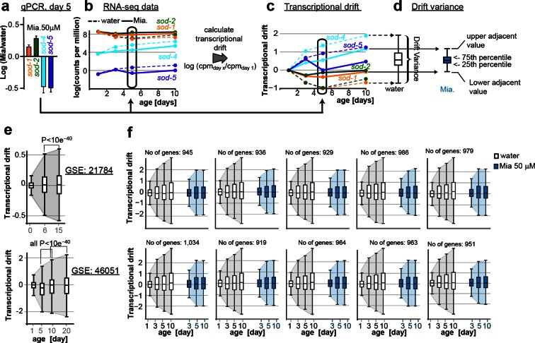 Figure 2—figure supplement 1.