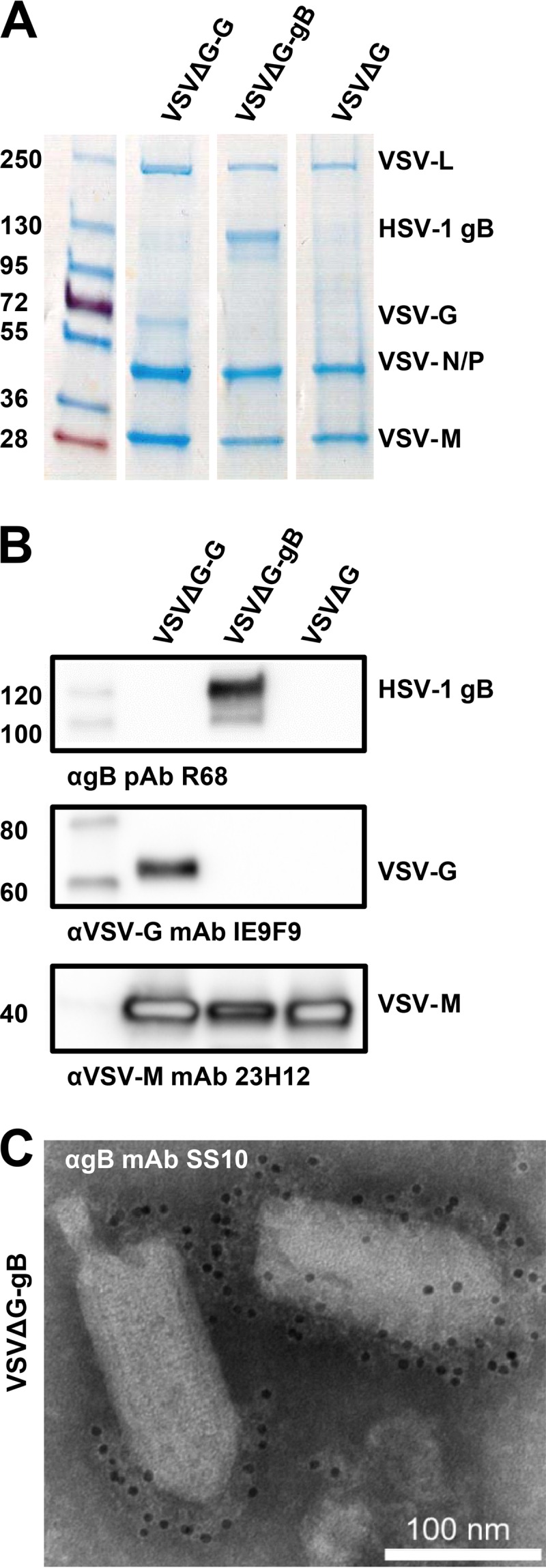 FIG 1