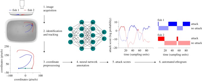 Figure 1.