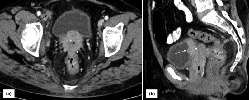 Fig. 8