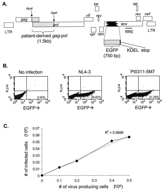 FIG. 1.