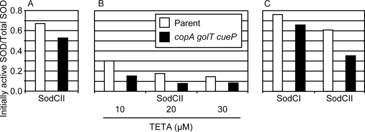 FIG 4