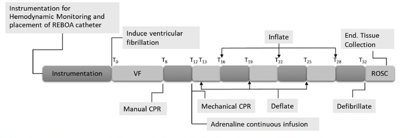 Fig. 1 -