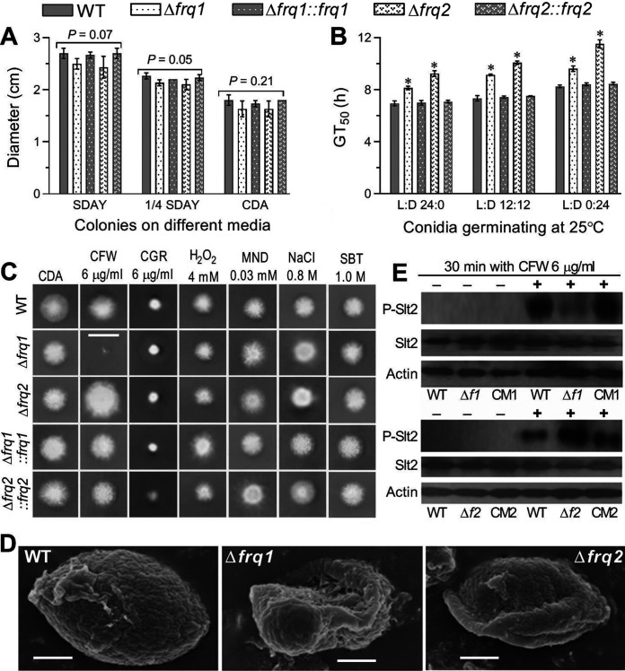 FIG 3