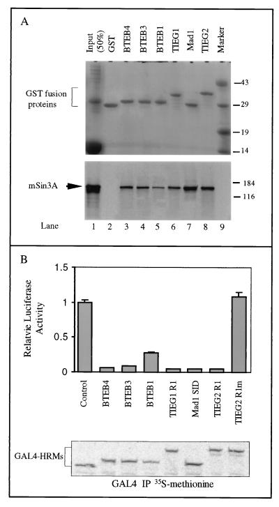 FIG. 7