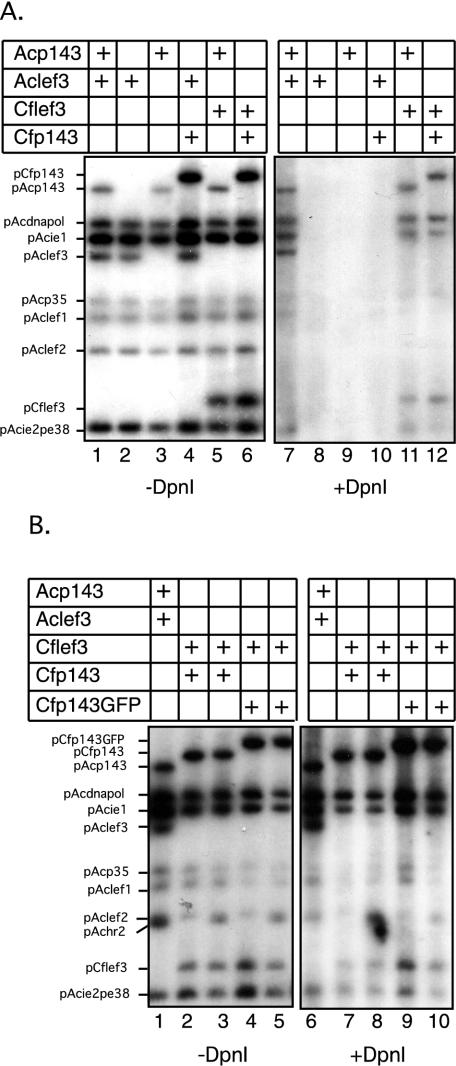 FIG. 7.