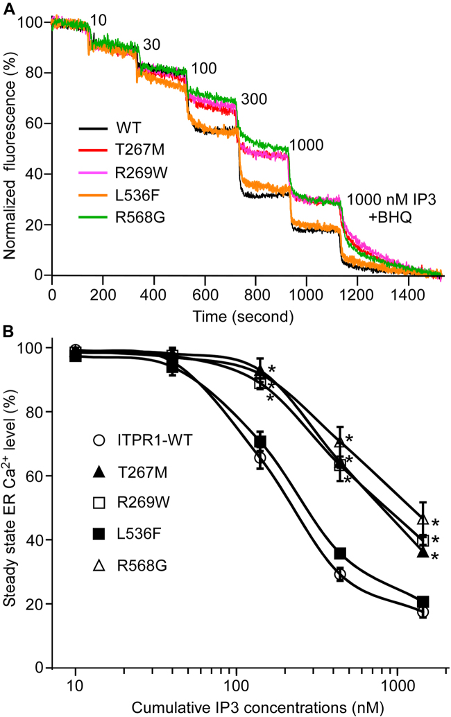 Fig. 3