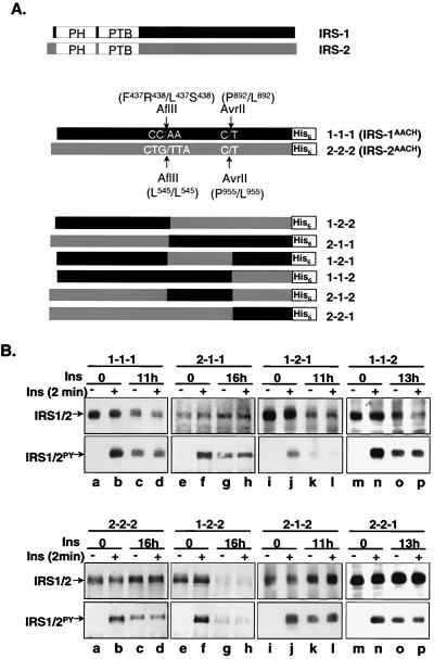 FIG. 8.