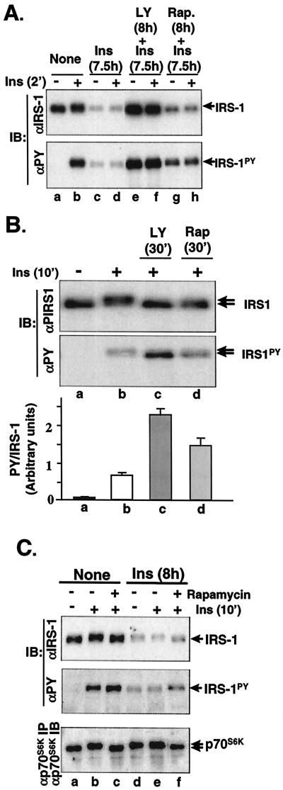 FIG. 5.