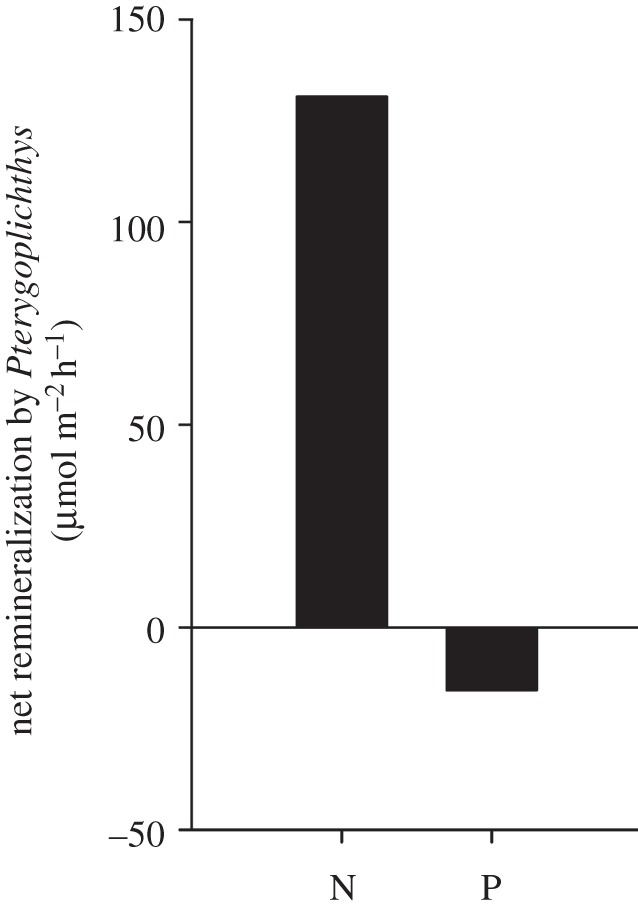 Figure 4.