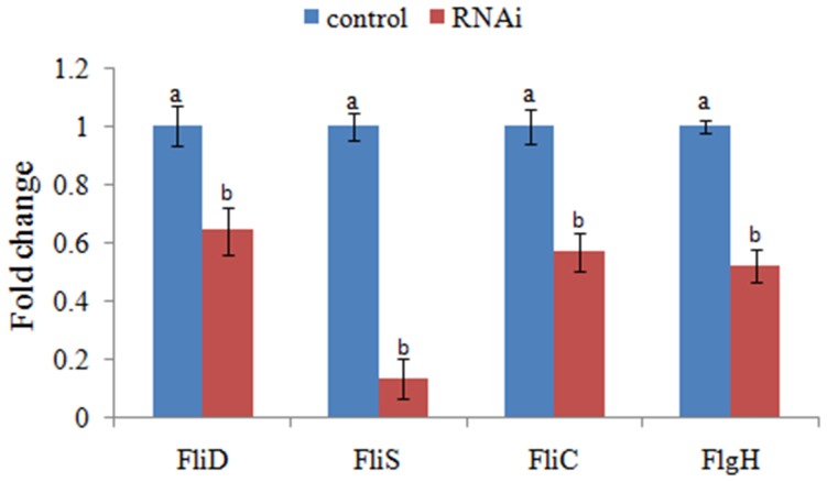 Figure 4