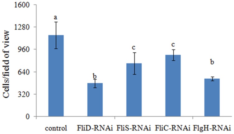 Figure 6