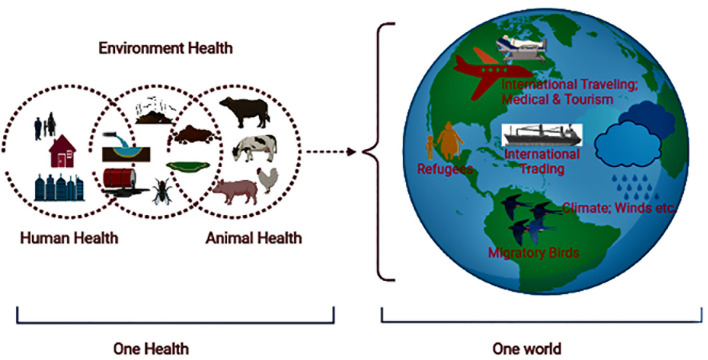 Figure 3