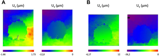 FIGURE 4